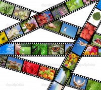 Film strip with different photos - life and nature (my photos)